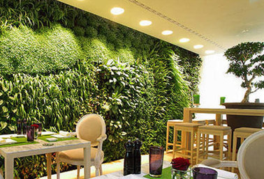 高层建筑墙体绿化