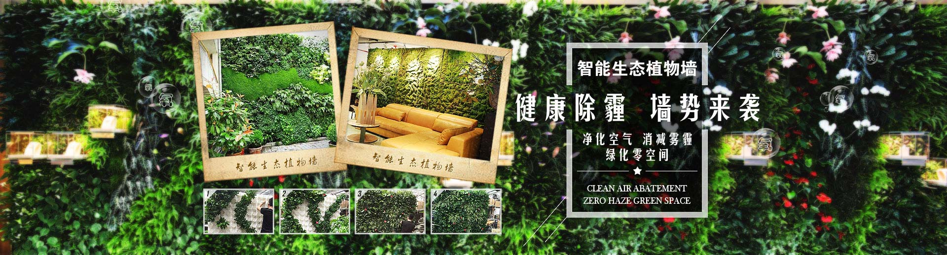 绿盒子植物墙